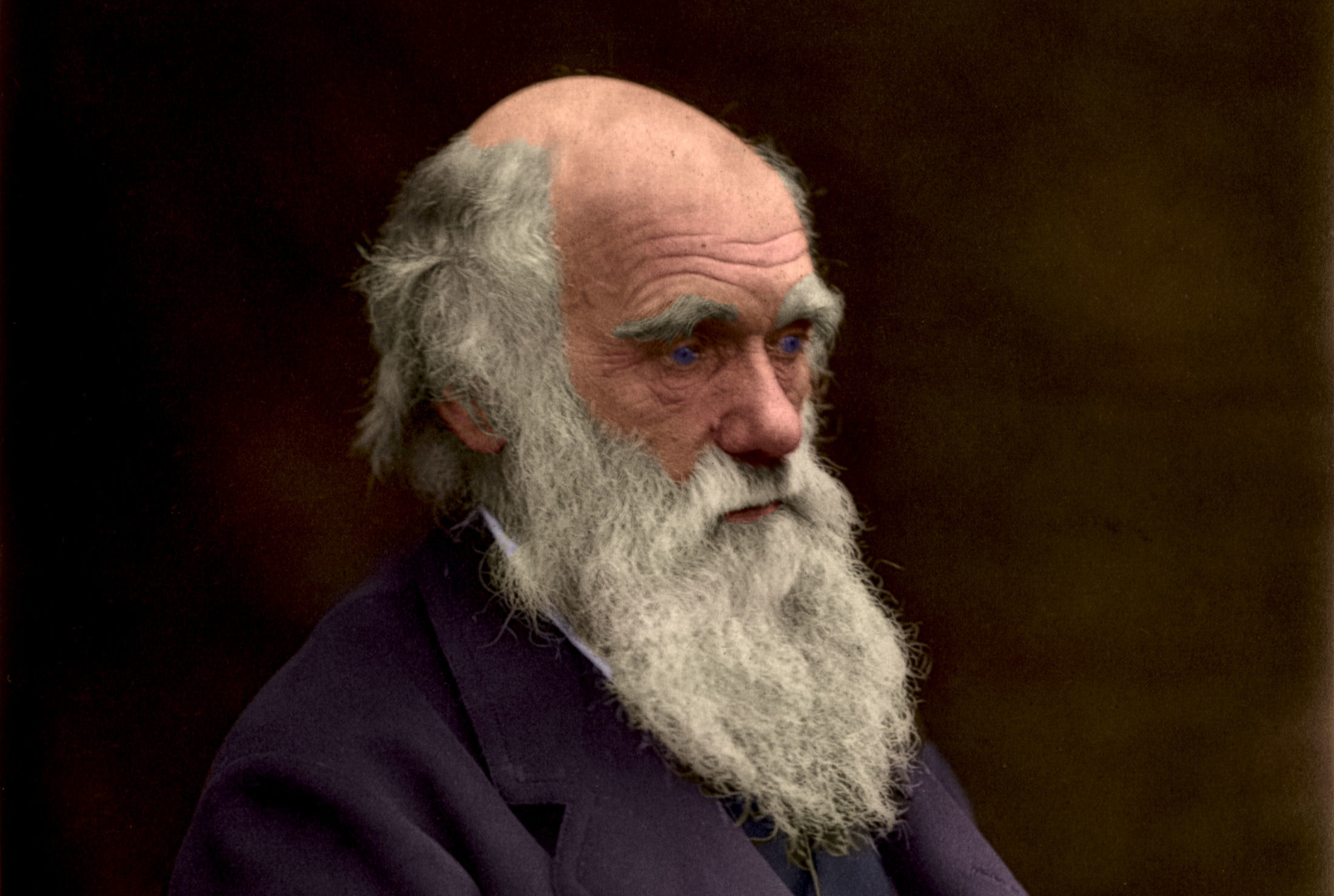Darwin profile picture
